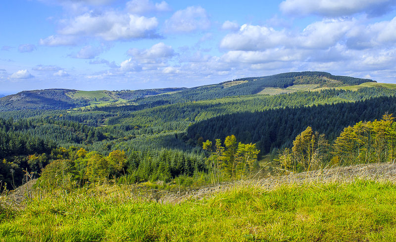 Macclesfield Forest Macclesfield Forest
